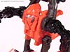 Transformers Revenge of the Fallen Arcee - Image #66 of 86