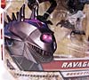 Transformers Revenge of the Fallen Ravage - Image #3 of 91