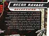 Transformers Revenge of the Fallen Recon Ravage - Image #25 of 107