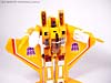 e-Hobby Exclusives Sunstorm - Image #32 of 54