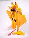 e-Hobby Exclusives Sunstorm - Image #35 of 54