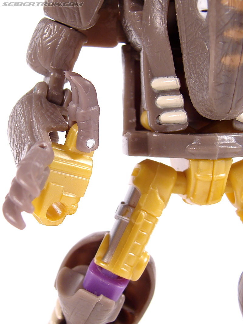 Transformers Universe - Classics 2.0 Dinobot (Image #111 of 181)
