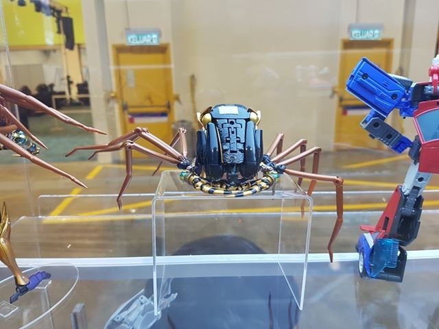 Transformers News: Re: More Images of MP-46 Blackarachnia Showing the Spider Correctly Transformed at Multiple Angles