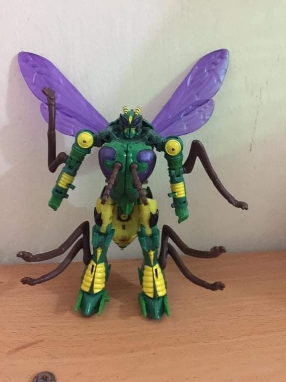 Transformers News: Possible Look At Transformers Kingdom Deluxe Class Waspinator