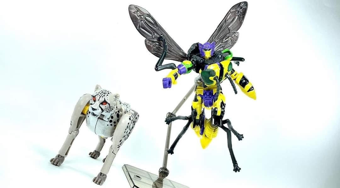 Transformers News: In Hand Images of Transformers Generations Selects Nightprowler and Buzzsaw